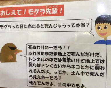 動物園裡的《毒舌鼴鼠》爆笑解答讓你了解鼴鼠生態