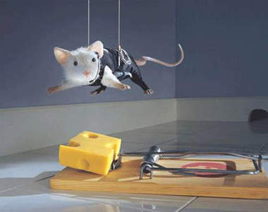 《特務老鼠》不可能的任務續集就靠你了XD