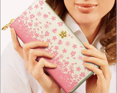 海賊王冬島篇《喬巴皮包》這次鎖定女孩們的財布啦