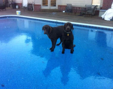 《冬天的煩惱》住在冷吱吱的地方好像也很麻煩齁......