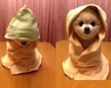 《5萬元毯子》要怎麼蓋才霸氣?讓韓國網友教你毯子新蓋法