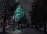 《發光行道樹》以後就不需要路燈了~ 《發光行道樹》以後就不需要路燈了~
