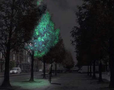 《發光行道樹》以後就不需要路燈了~