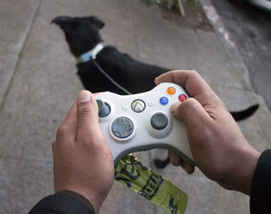 《Xbox360淘汰手把活用法》真實版遛狗遊戲（樂）