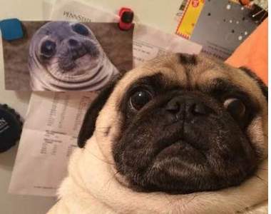 《趣味照片大集合》這些照片也太幽默了啦～ＸＤ