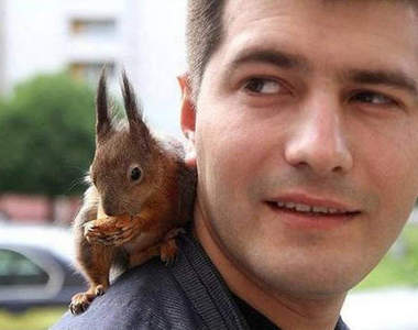 超可愛《帥哥與小松鼠》我可以兩隻一起打包帶走嗎(//▽//)