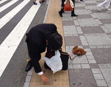 《烏龜刷子散步男》低下身做出讓人覺得尊敬的動作是？