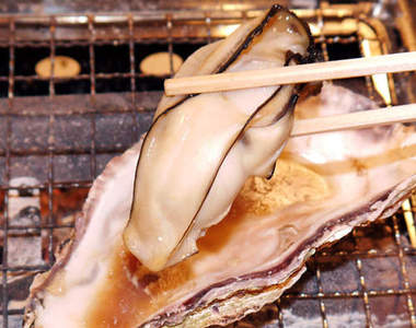 日本大流行中《牡蠣小屋》一探究竟去