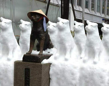關東大雪又來襲《個性雪人》再次登場 忠犬八公也大量繁殖ww