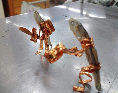 超市店員的《魚乾劇場》打發時間就靠小魚了~