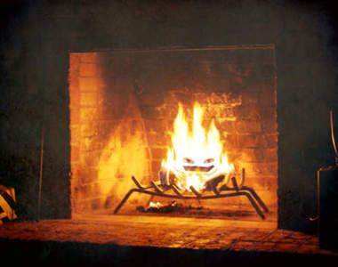 希望拍真人版《吉卜力動畫TOP10》第一名果然是~