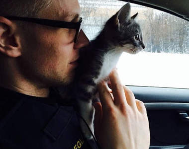 《冰島警察Instagram》都是動物跟食物有點萌萌噠(❛◡❛✿)