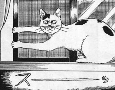 《伊藤潤二畫風的貓》臉上的花紋真的是微妙的巧合