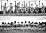 英大學《裸體划船隊月曆》2015 好身材衣服不用穿回去沒關係 英大學《裸體划船隊月曆》2015 好身材衣服不用穿回去沒關係
