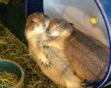 Instagram《事後自拍照》流行中　單身者也不甘示弱秀手手（嗯？）