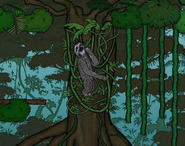 《樹懶闖天關》懶惰到不行的樹懶動作遊戲www