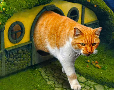 《魔戒貓砂屋》上個廁所是在霸氣什麼啦www