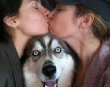 《養狗前後的差別》主人們膝蓋背部注意XD