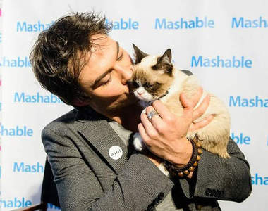 貓的魅力難擋～13位著名愛貓男星 