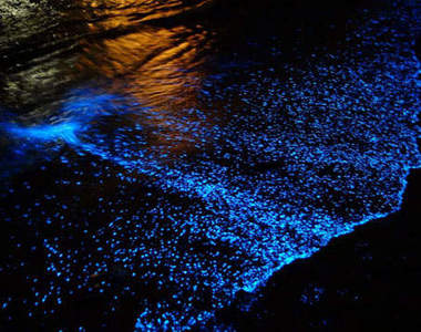 《世界神奇海灘》再不去會全部消失嗎？