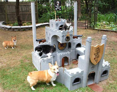 《貓的城堡》上帝創造貓咪時 不小心打翻了什麼？