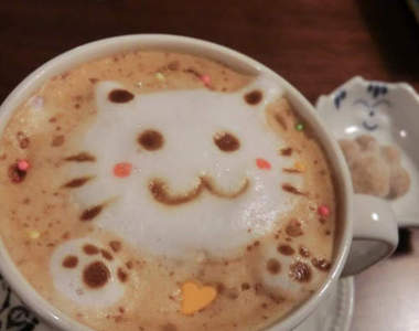 貓奴必見♥滿滿《貓咪料理》的超幸福空間「ねこまる茶房」