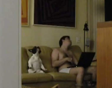 《跟主人一起跳舞的狗》你怎麼知道要做什麼☉☉   