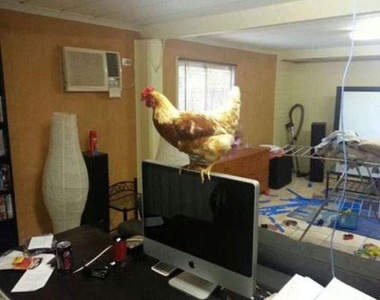 《KUSO辦公室》員工的怨念是很可怕的