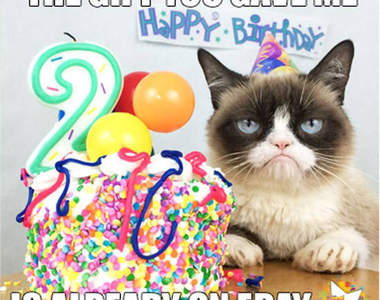 《暴躁貓》兩歲了～爆跳如雷的生日快樂