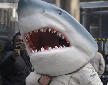 《風飛鯊2》開拍中 這回鯊魚要大舉進攻紐約www