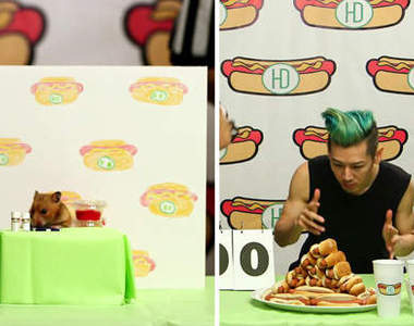 《跟倉鼠比吃熱狗比賽》小倉鼠 v.s 小林尊究竟是誰獲勝呢？