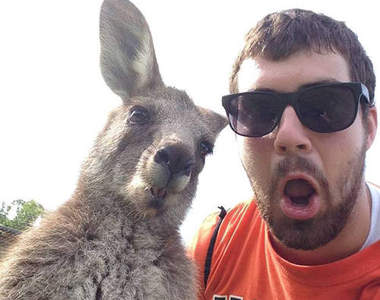 《預料之外的搞笑動圖》真是猜不透你呀www