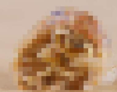 另類的《曬寵物照》有些寵物看起來毛毛的......（哭）