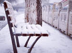 《隨手拍雪景》隨便一拍都好像一幅畫~ 《隨手拍雪景》隨便一拍都好像一幅畫~