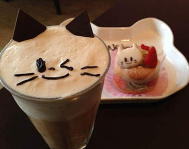 貓奴必見的《貓咪蛋糕主題咖啡廳》進來就不想出去惹(緊貼)