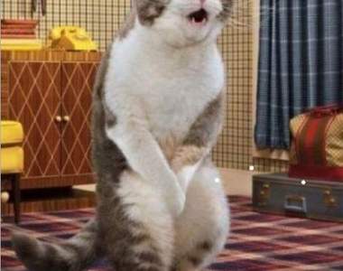 《難以煎熬的七大瞬間》碰到真的會很想飆髒話啊~