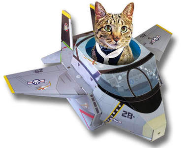 《貓箱》貓咪才能開的潛水艇跟戰鬥機喵～ΦᴗΦ