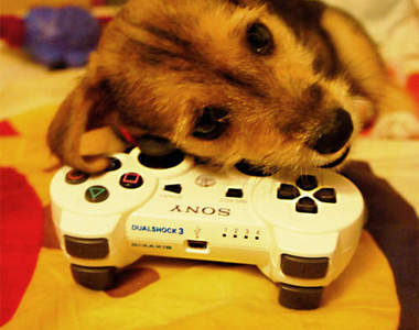 遊戲玩家《最有感觸的10件事》 不怕神一般的敵人卻只怕……？