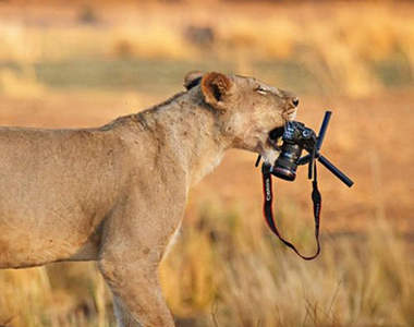 2014《相機失竊排行榜》最愛用的偷竊方式和最愛偷的品牌