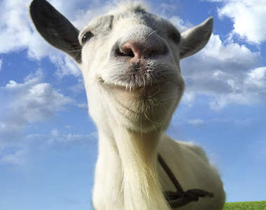 快打版模擬山羊　注意我很兇千萬別惹我喔（頂）