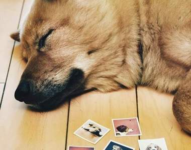 隨身攜帶的《Instagram紋身貼紙》網路斷訊也能看照片唷～