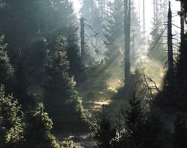 《格林童話》攝影師鏡頭下的童話場景