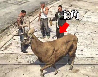 《俠盜獵車手5》主角變動物 變成殺人放火真畜牲