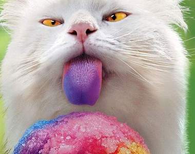 《動物界吐舌頭比賽》大家都好會伸舌頭啊～