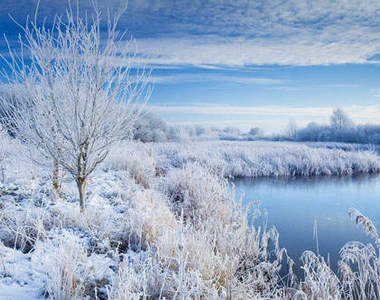 美得不像話的攝影照 英國皇家園藝攝影大賽優勝賞欣 