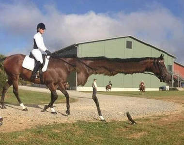 18張拍壞的照片　你們真的是地球生物嗎？