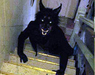 聖貢薩洛狼人　夜間拍到了四腳獸的詭異影像？