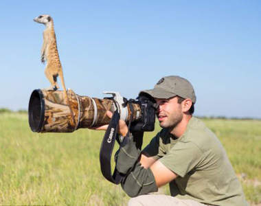 《狐獴》模特兒替攝影師把風　野生的丁滿也太可愛了♥