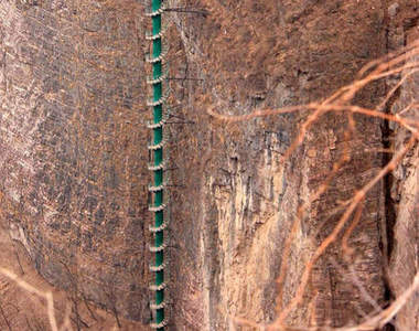 《超異常旅遊景點》這支棒棒到底要幹嘛（盯）