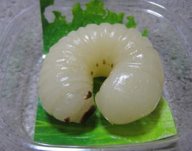 【閱覽注意】超真實《幼蟲軟糖》內餡流出瞬間才是地獄...